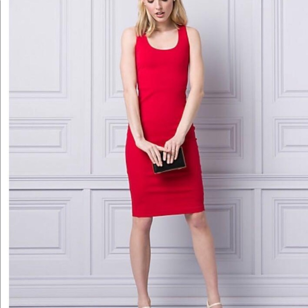 Le Chateau fitted dress